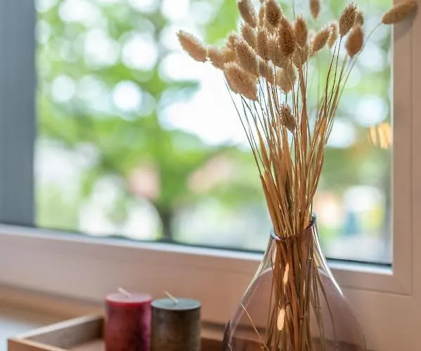 Szary Wilk * 슈차이르크