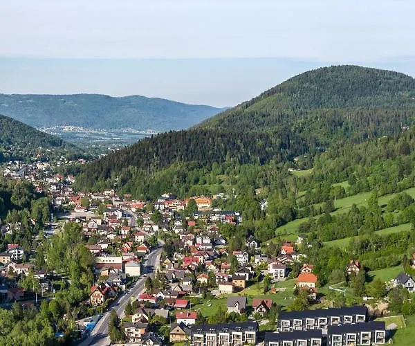 Szary Wilk * 슈차이르크